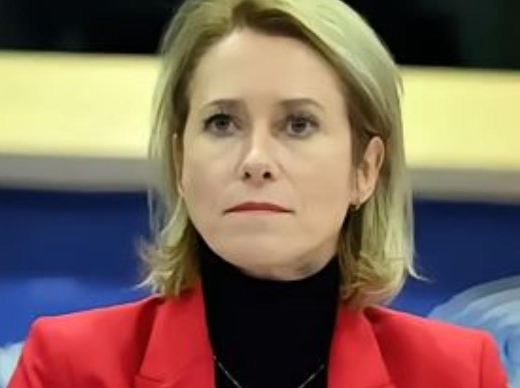 欧盟那帮人开会，有个女议员正唾沫横飞地渲染“中国威胁论”，调子都快起飞了。结果挪