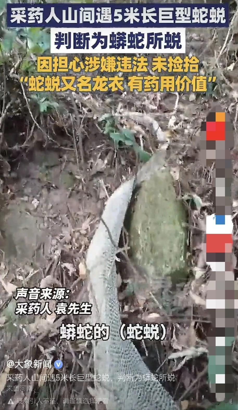 现在野外环境保护的好，没有人为破坏，山里面真有大家伙。12月2日，广东阳江，一