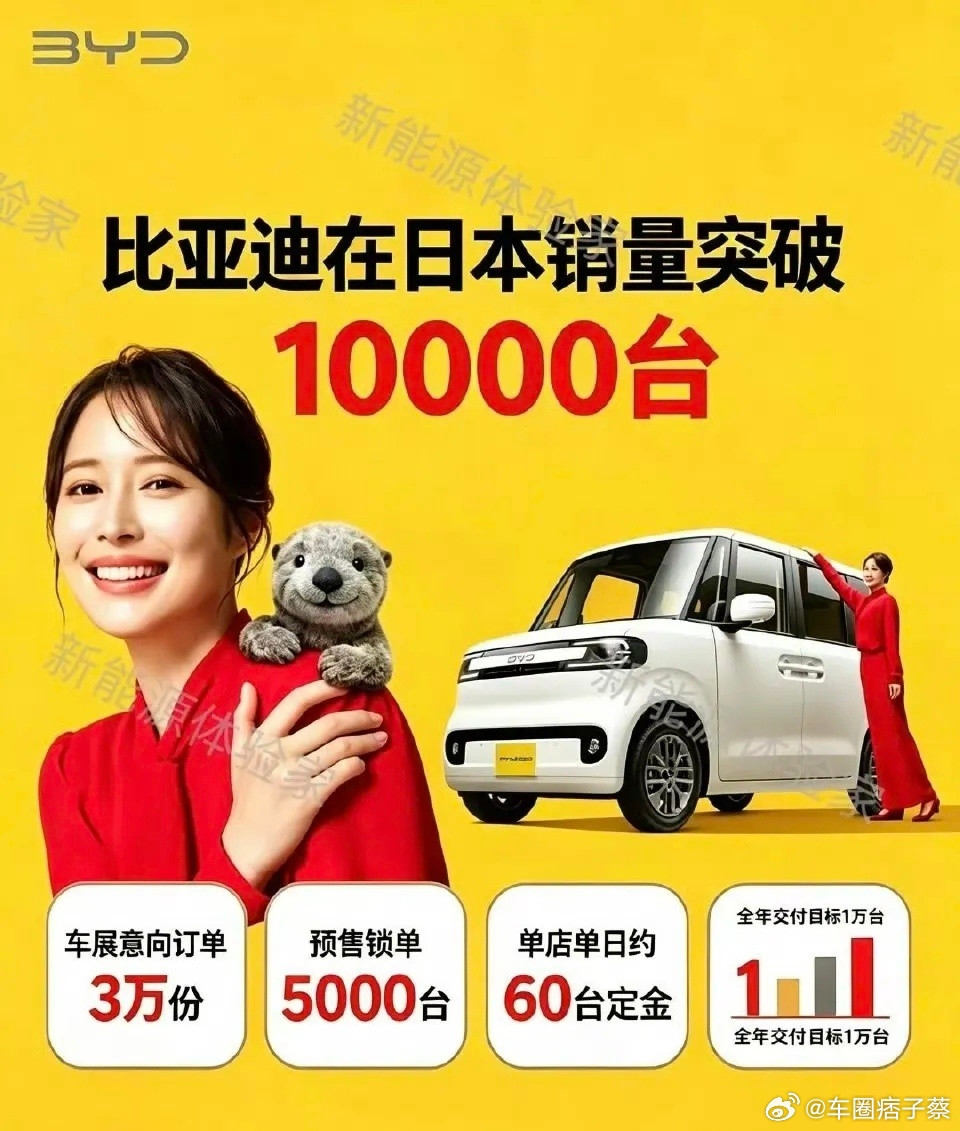 比亚迪比亚迪海獭在日本销量破万大v聊车海獭销破万，属实捅破了一层窗户纸！！！刀