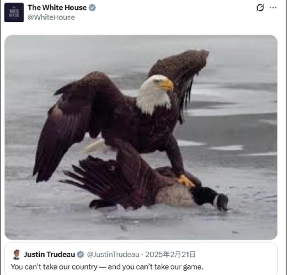 白宫发图:痛击加拿大鹅！昨天，美国队在米兰冬奥会上2比1战胜加拿大队，获得冬