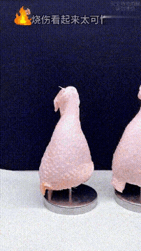 涨知识系列，原来鸡皮是真的会跳舞得。