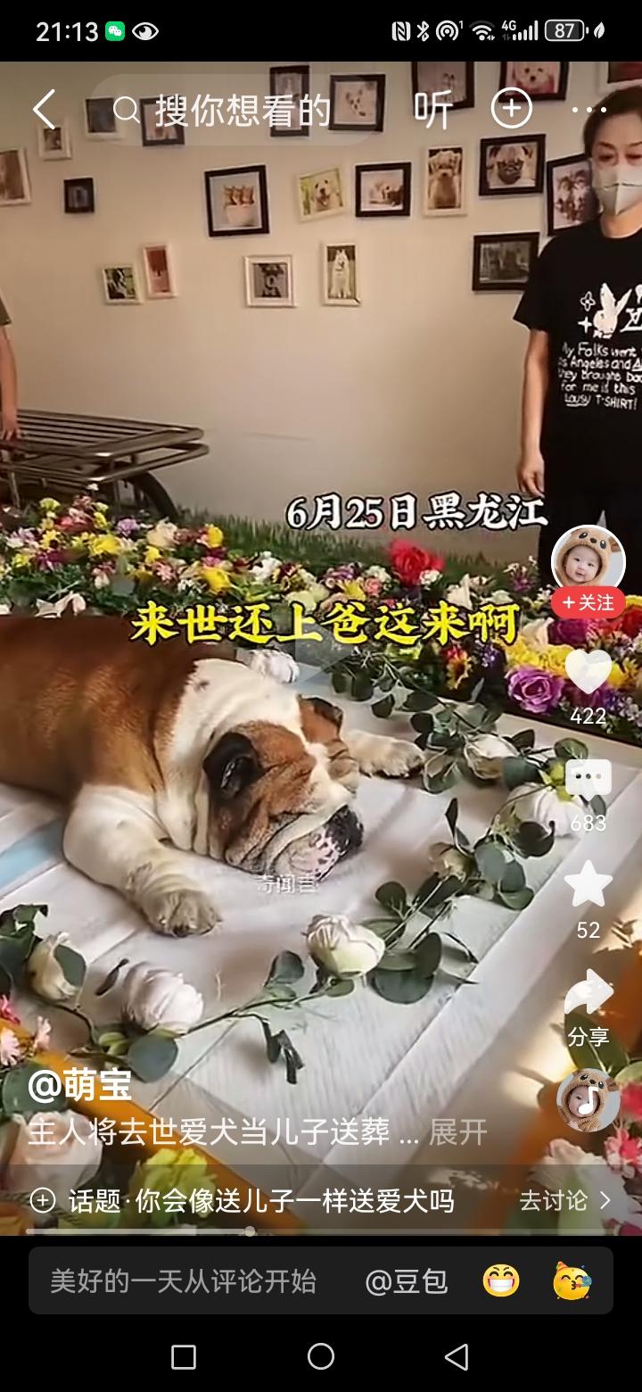 这应该是主人我是他的朋友发到网上的，主人悲痛的说，伺候了你11年呀，总觉得哪里怪