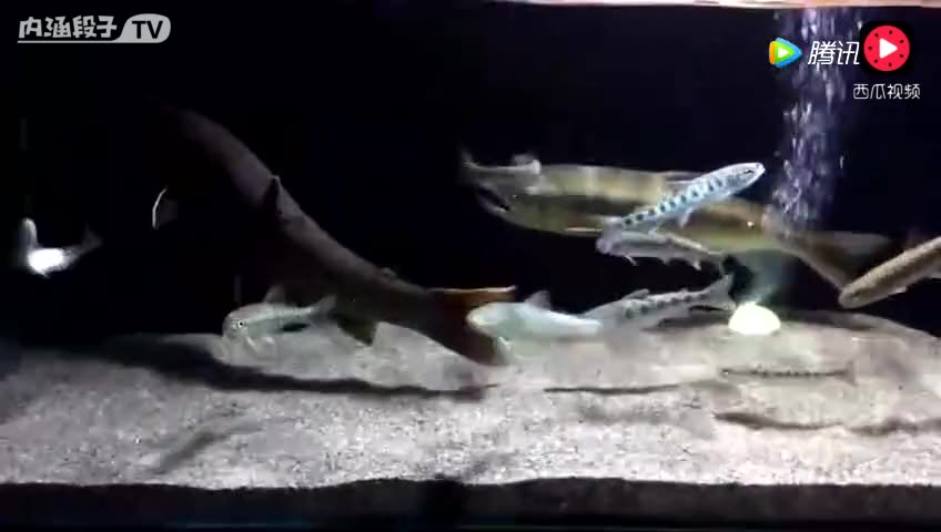 9530105366923693687.jpg?id=0