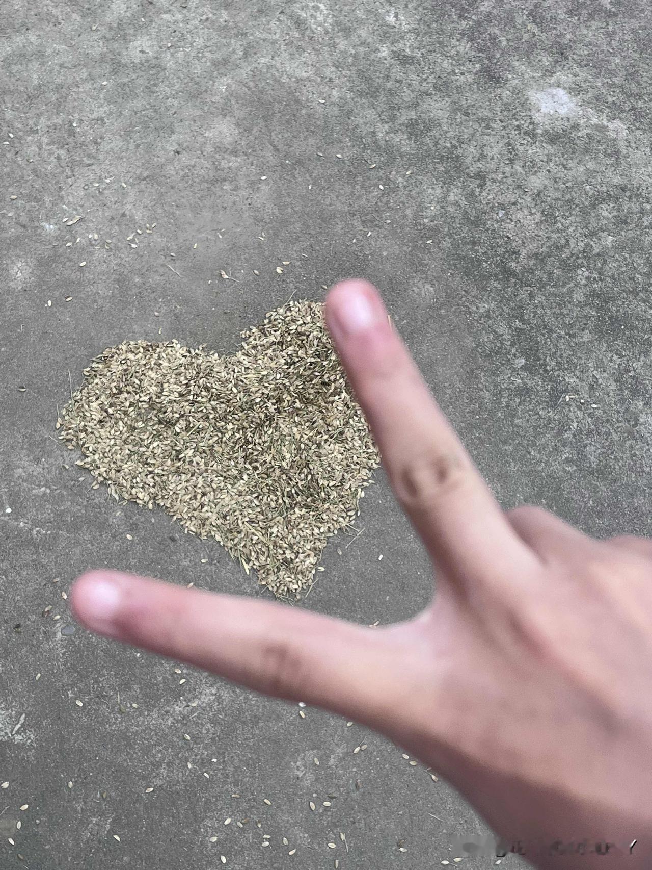 ‼️‼️泰州籍特级英雄杨根思在长津湖畔发出的誓言，没想到在穿越七十年后在2025