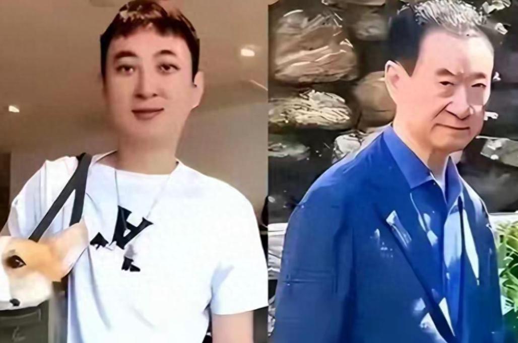 一年蒸发八百多亿！71岁的王健林，惨遭亲儿子王思聪的“反噬”当年那句“先挣他