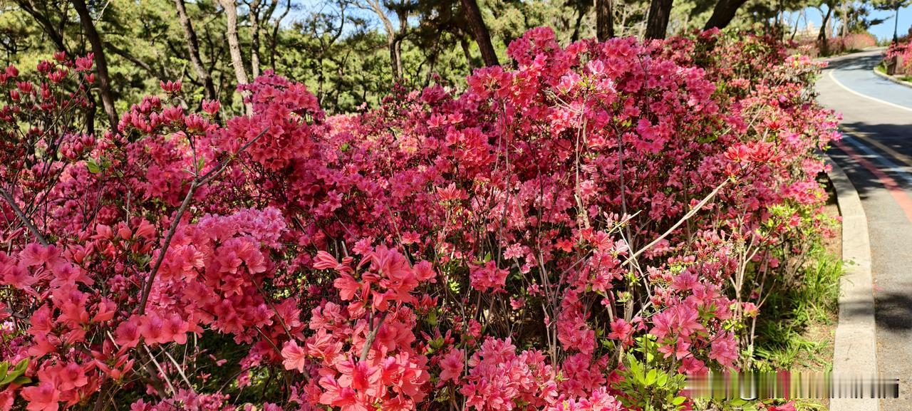 别学“豆包式上班”了，你糊弄的不是工作，是你自己的命今天部门来了个新同事，号