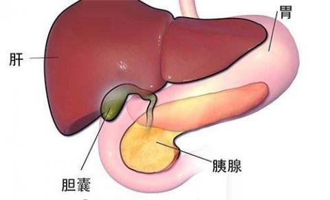 胆囊息肉疾病类型有哪些 预防胆囊息肉的有效方法