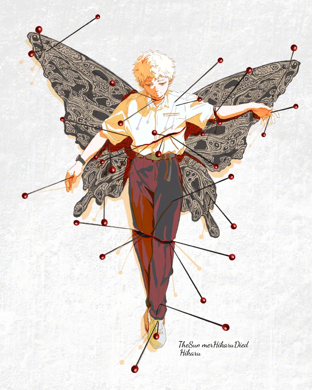 《光死去的夏天》蝴蝶标本绘：시티로