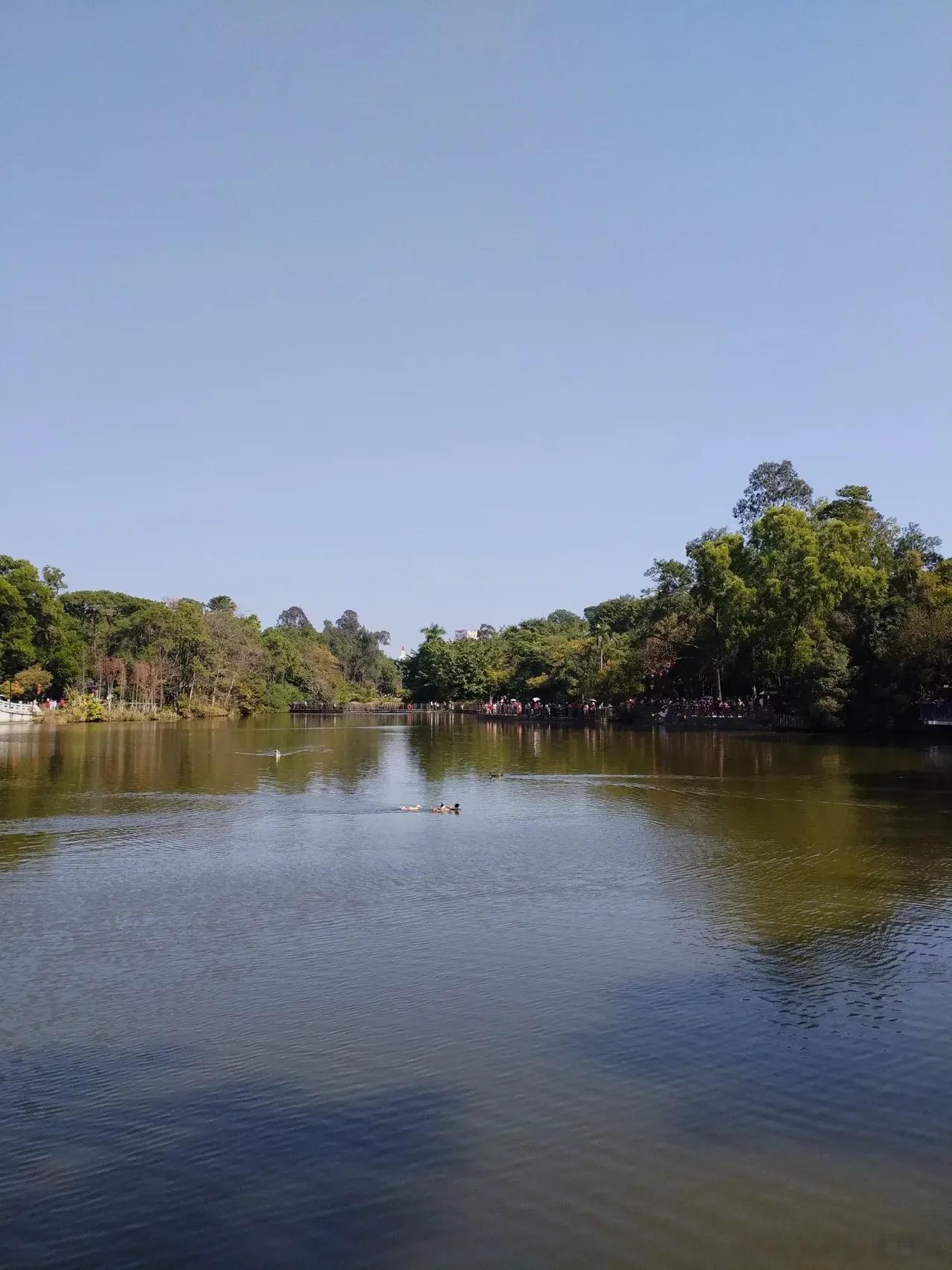 节后股市会开门红吗？首先，往年往往会开门红，从历史数据来看，春节