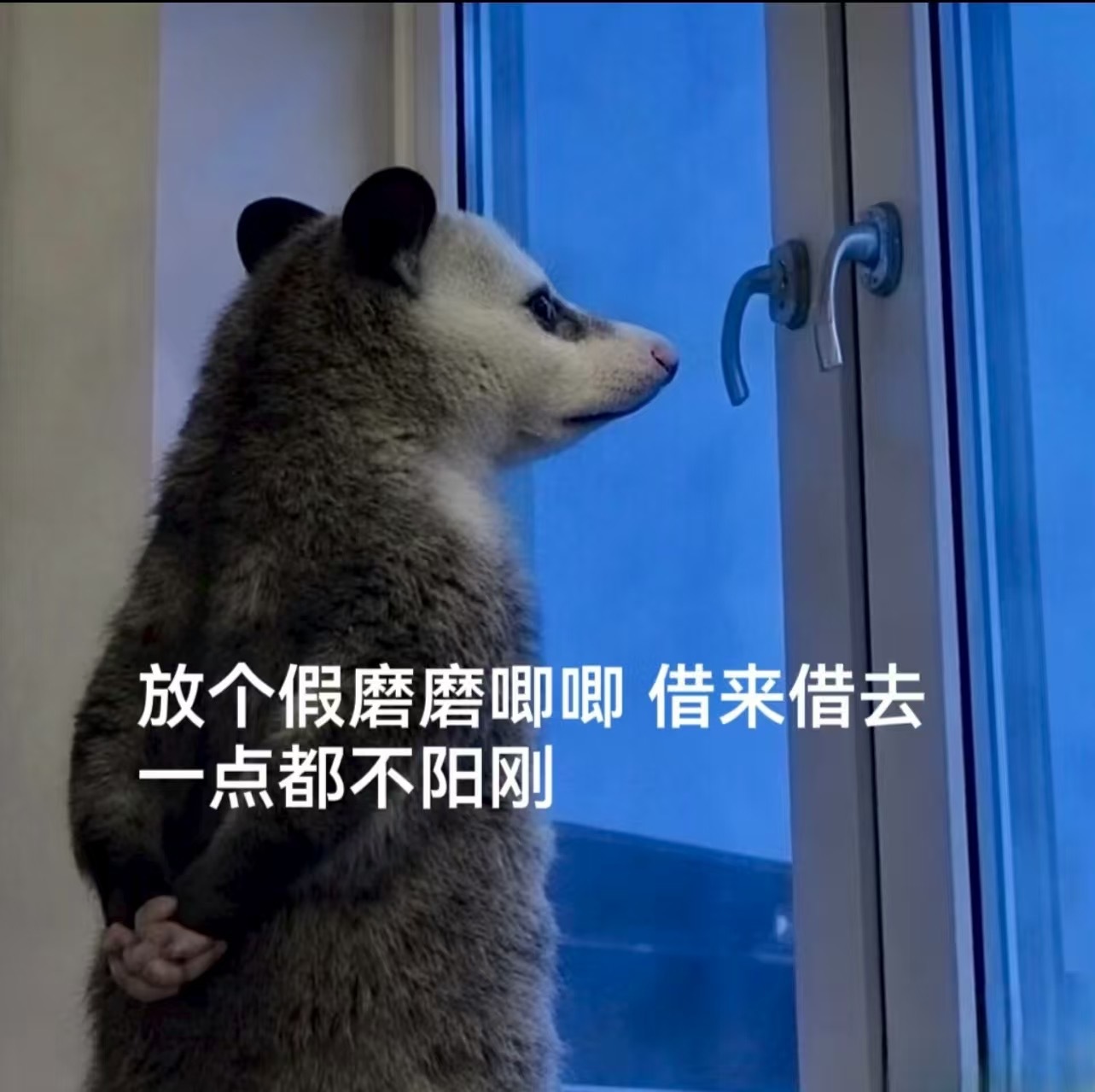 调休更适合中国宝宝的凌迟​​​