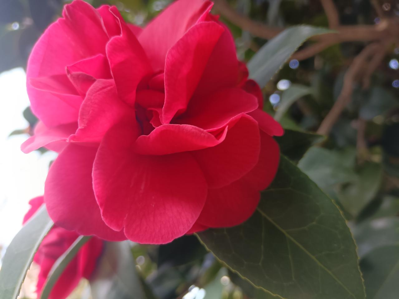 为什么你要那么努力