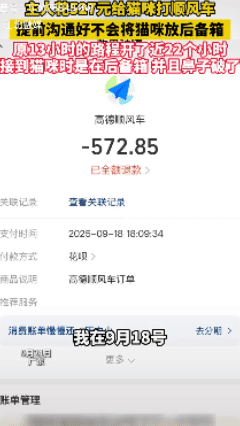 给猫打车有必要吗？广东一男子花527元打车送小猫回家，原本13小时的路程却被开了