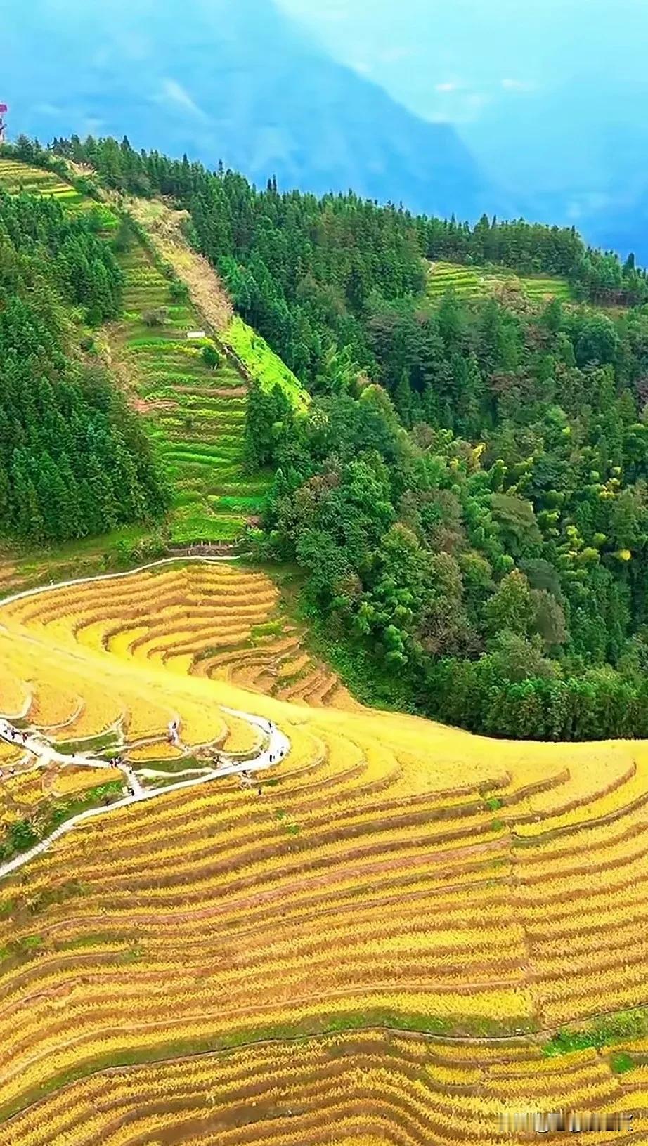 别等到人生终点时才看透，老人与子女，终究是人生中亲情的过客人老了，要看得清事