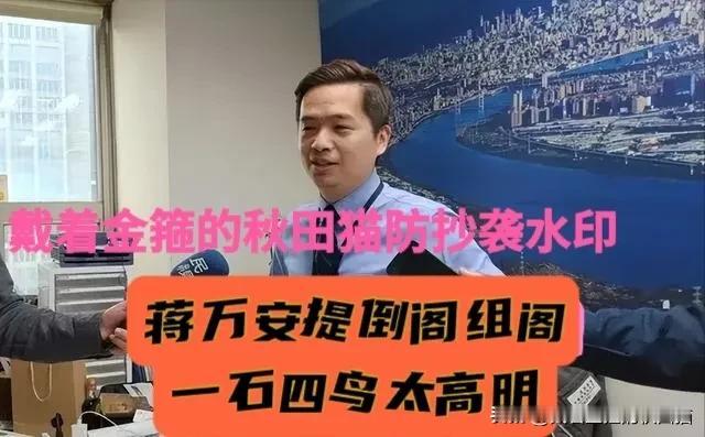 蒋万安是柯志恩的王炸？捧杀陈其迈、脚踩赖瑞隆、助攻柯志恩、分化民进党！岛内媒体