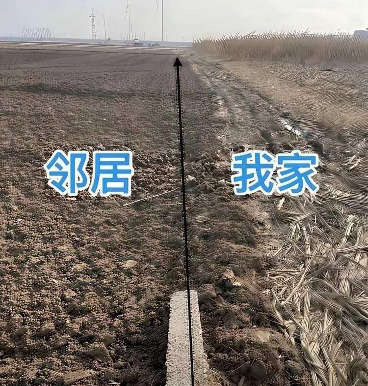 年年如此，太不要脸了，哎！