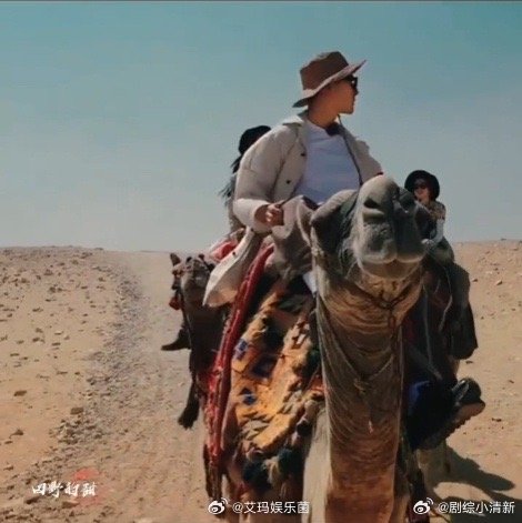 张晚意骑骆驼迷死我了谁能拒绝张晚意沙漠骑骆驼的魅力？黄沙背景下他身姿利落，单手