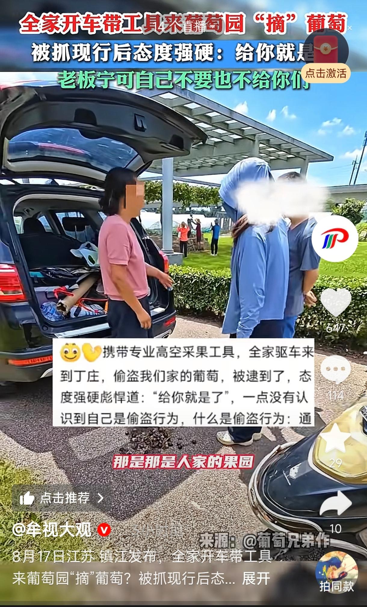 江苏镇江，一位葡萄园老板却遇到了一件糟心事。采摘期到了，果园里来了“客人”，却不