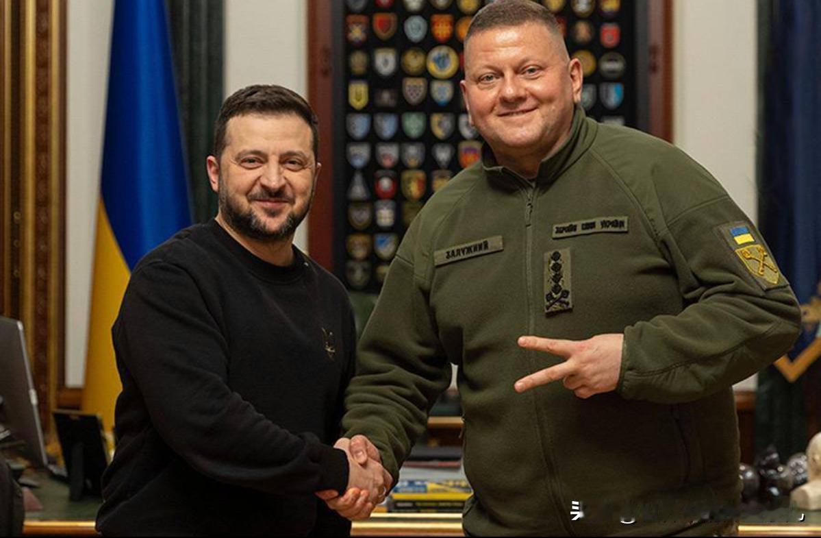 乌克兰前国防军总司令扎卢日尼在未告知泽连斯基的情况下批准了北溪天然气管道破坏计划