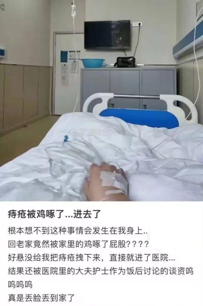 小鸡想吃小葡萄结果啄到别人痔疮了🥰✨​​​