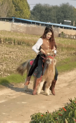 自己半斤八两心里没点数吗？看把小马压的，这马儿马力有点小，坐俩人严重