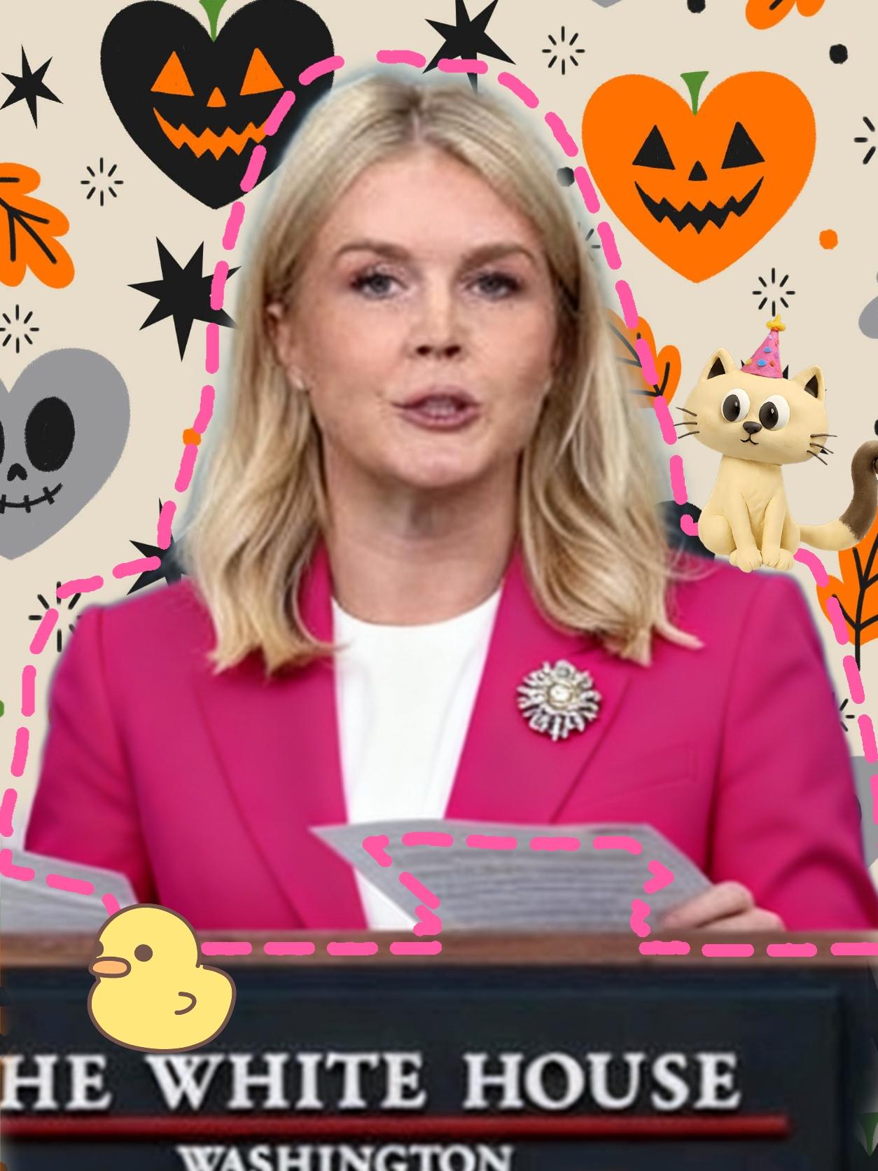 快讯！快讯！白宫最新消息！！！！据11月24日白宫发布的消