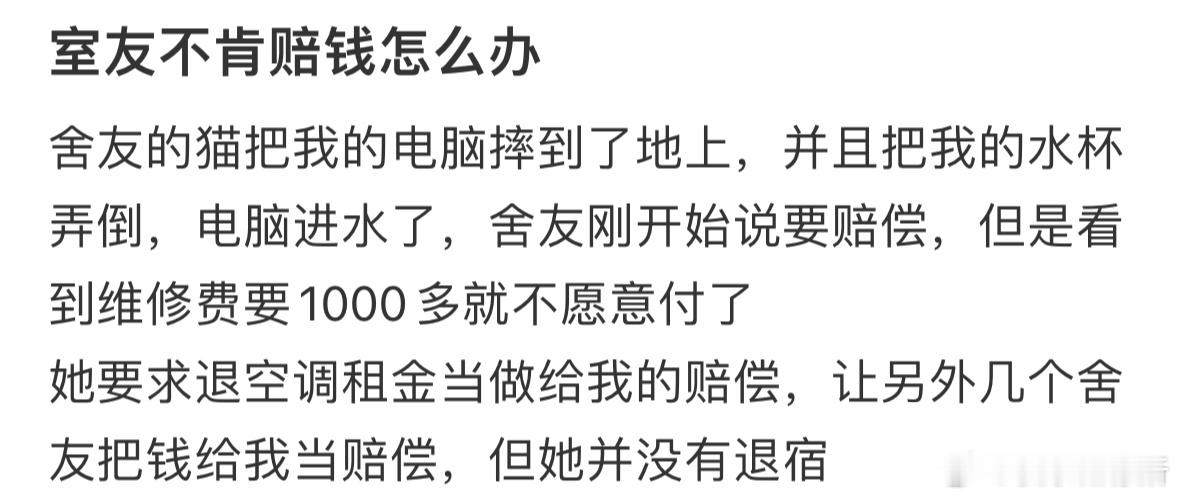 室友不肯赔钱怎么办❓​​​