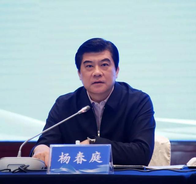 杨春庭, 被查