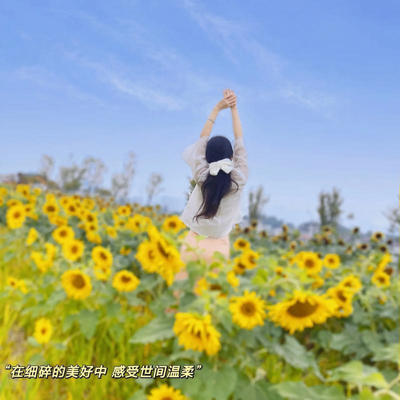 告诉你个扎心真相：若身边人都对你赞不绝口，那是你一直在当“冤大头”；说你自