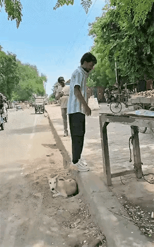 狗子:我今天是非死不可吗？