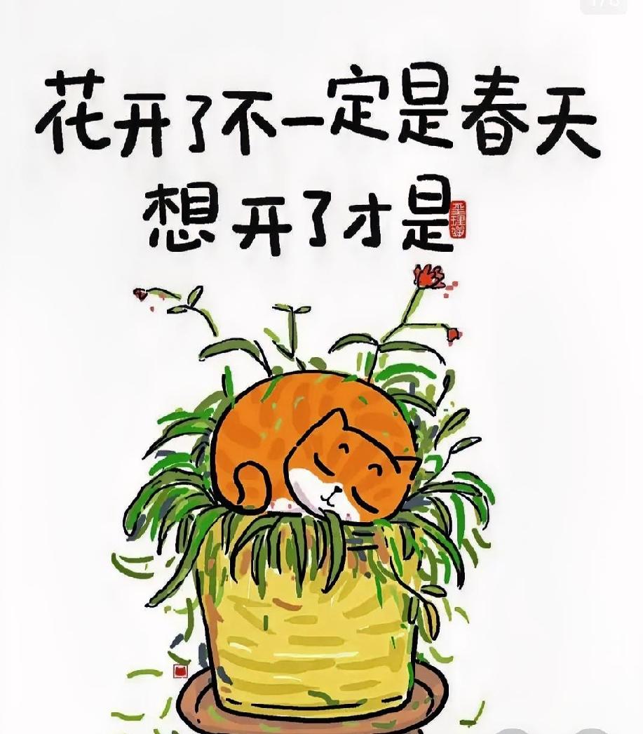 婚礼半年就散了，到底怎么了？3月参加朋友孩子的婚礼，大家高高兴兴，都盼着年底