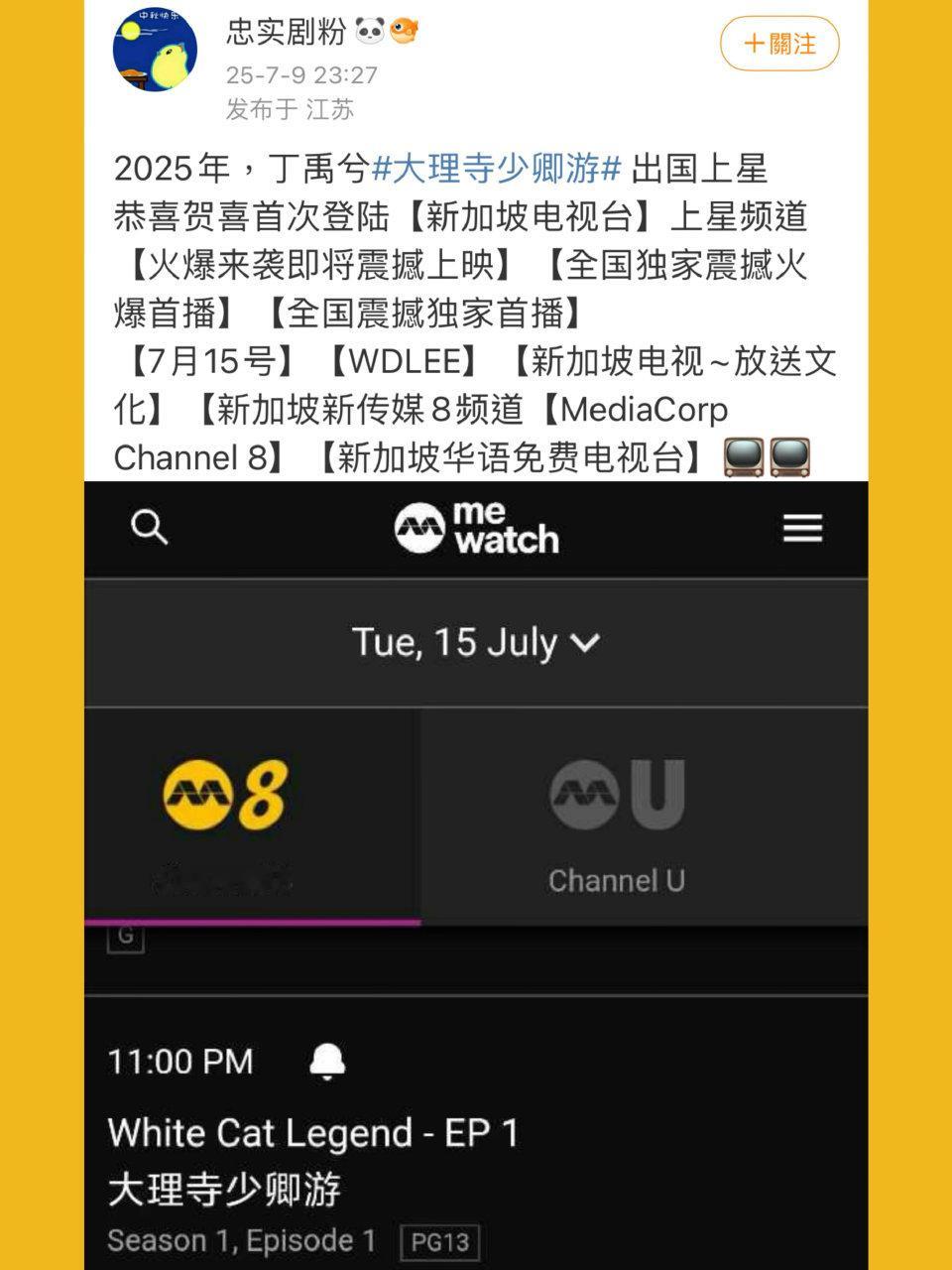 丁禹兮一番大男主大理寺少卿游上星新加坡电视台！！海外剧粉有福了！[大笑][大笑]