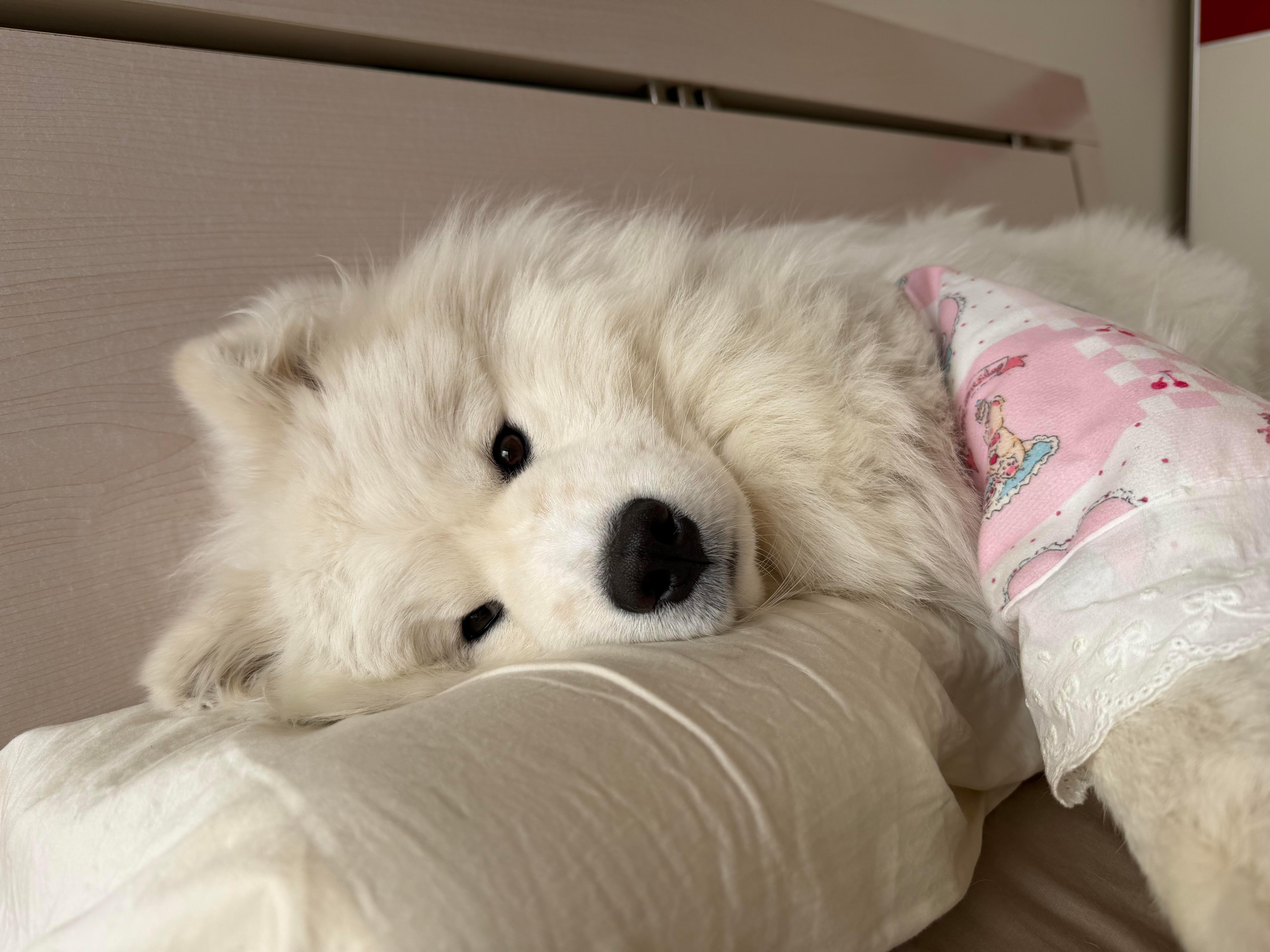 人，可不可以不去上班耶