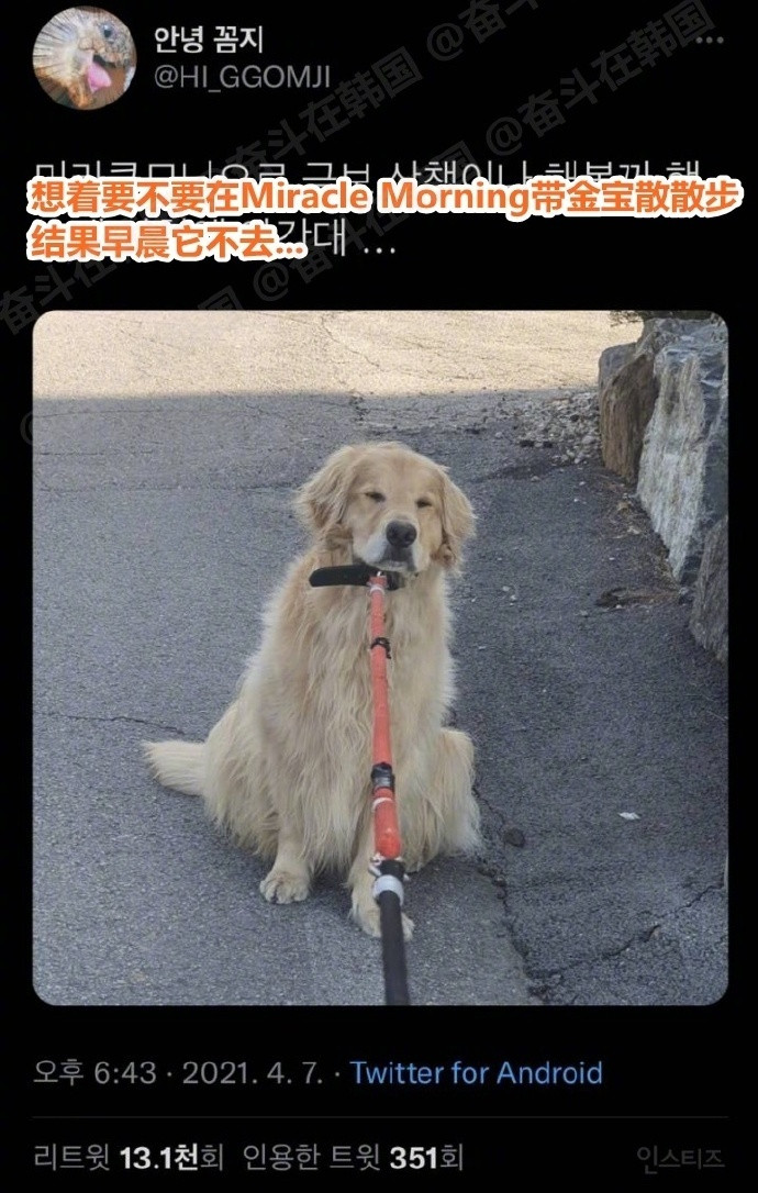 狗都不愿早起[裂开]海外新鲜事热点现场​​​