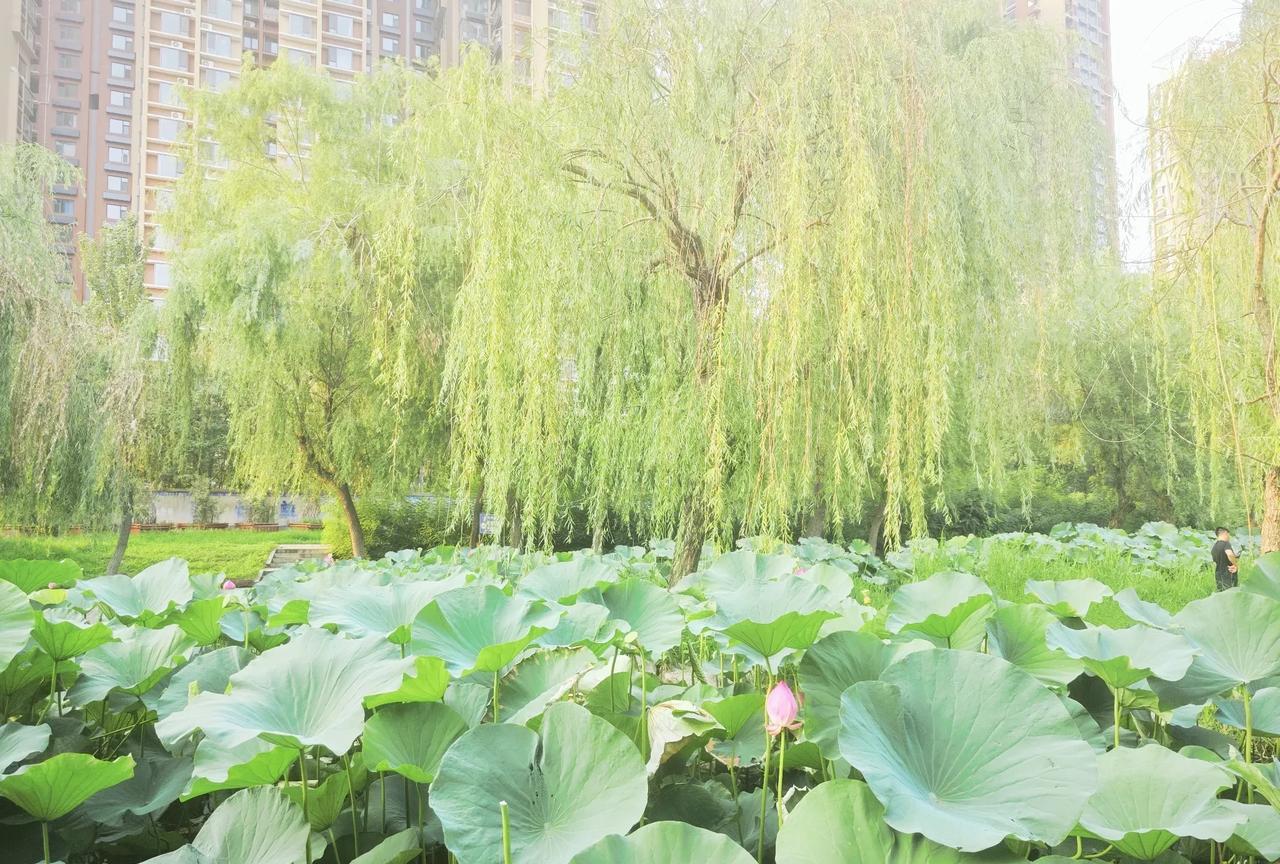 丈夫的堂侄女——地地道道农民家的女儿，汉语言研究生，没任何背景，32岁那年，笔试