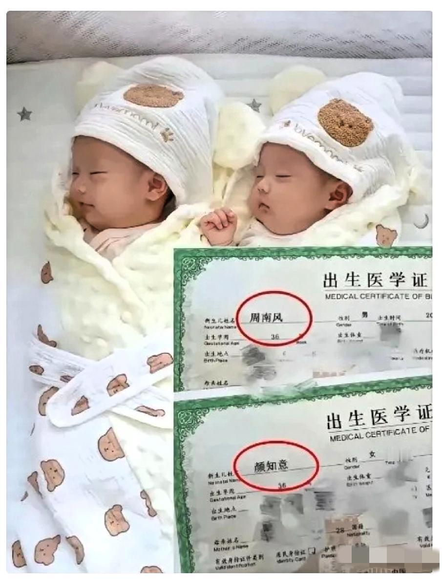 惊！这对龙凤胎的名字直接封神，网友：文化人起名果然杀疯了！刚刷到一对龙凤胎
