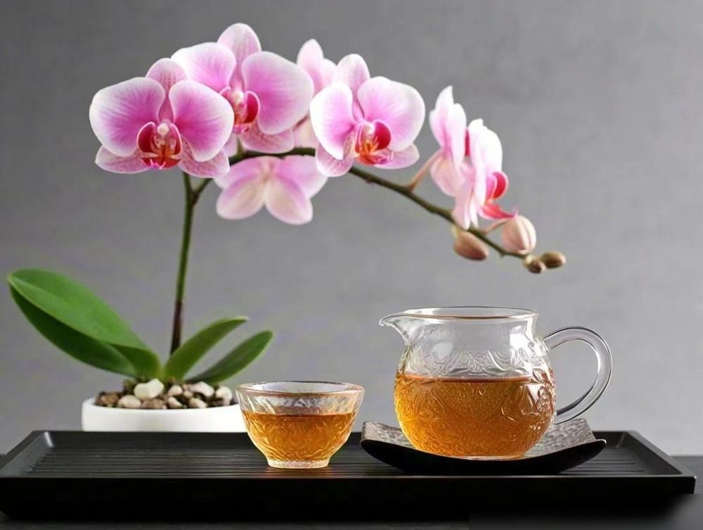 今天我去医院，问医生了，说可以停他汀，医生说，如果血脂正常了，可以停他汀，停他汀