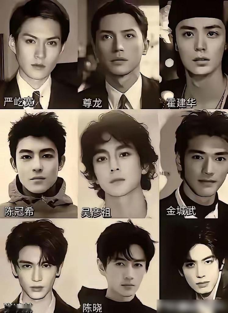 这些都是男明星里颜值天花板级别的，有亚洲最美的男人尊龙，有颜值最国际范的严屿宽，