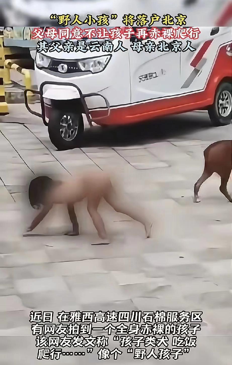 这父母得多狠的心啊这“野人小孩”的剧情反转比川剧变脸还快！前一秒还在石棉服
