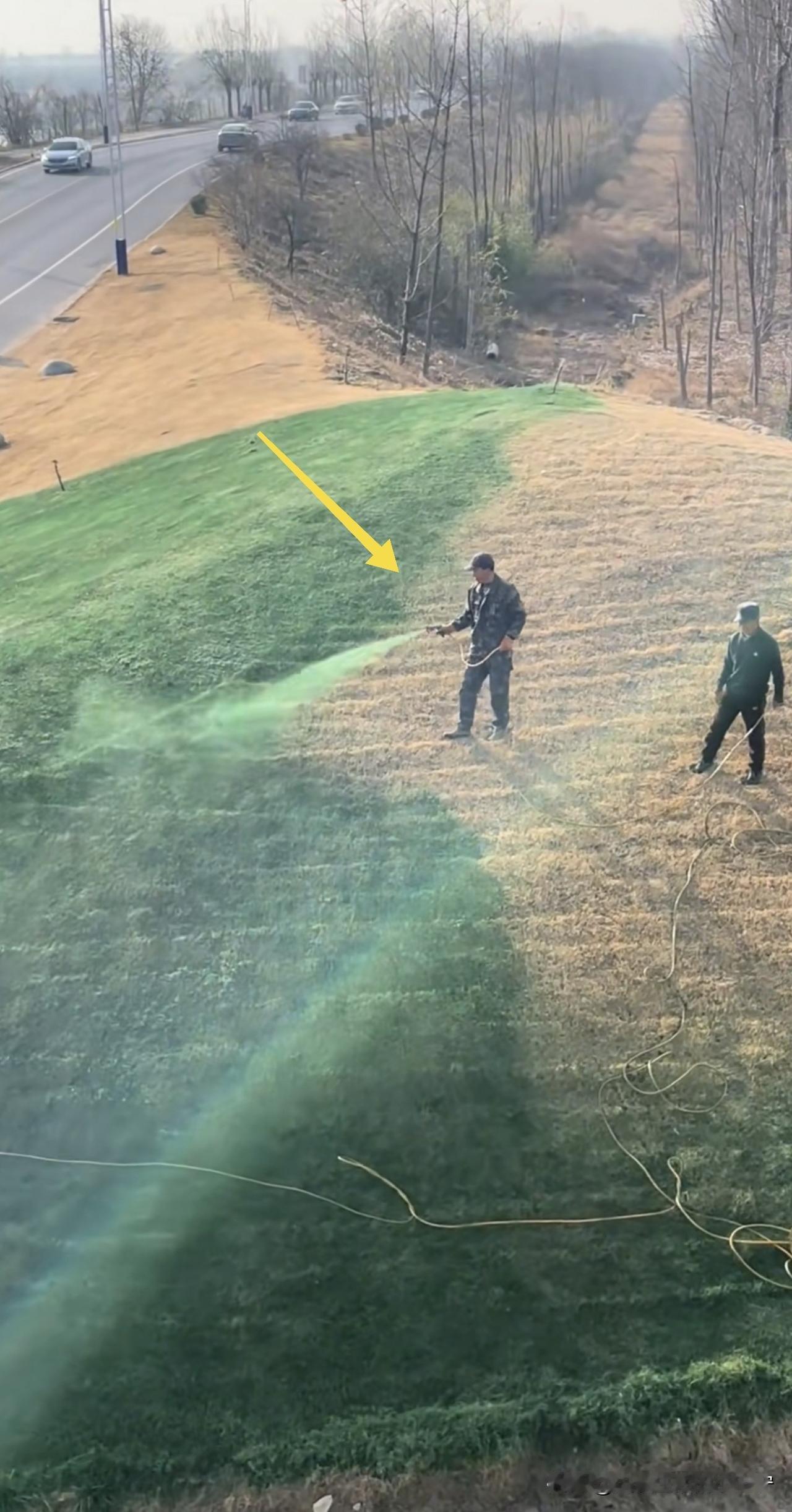 冬季到了，草变黄了，树叶掉了，再自然不过的景象了。又何必这样呢？做给谁看呀？