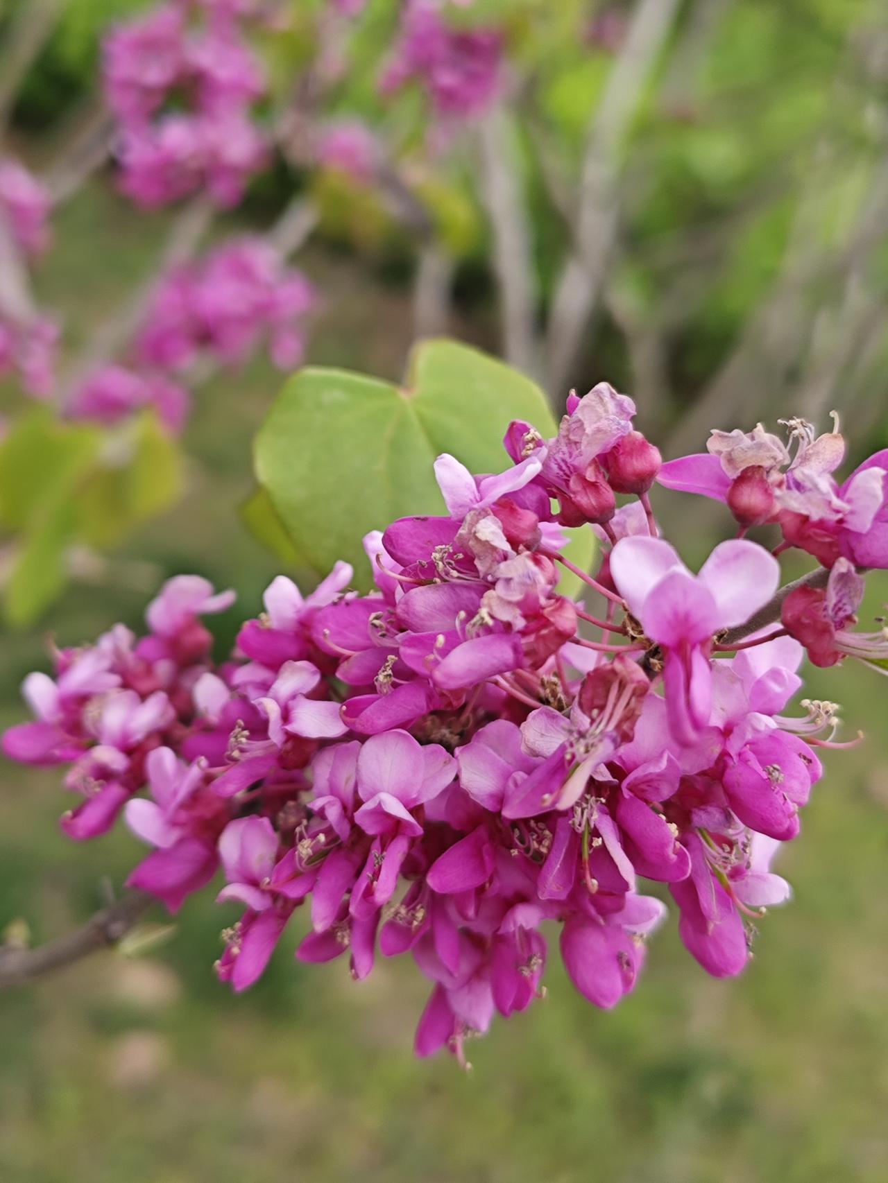 要想不让人欺负你，你必须做到:（一)拒绝和任何看不起你的人做朋友。