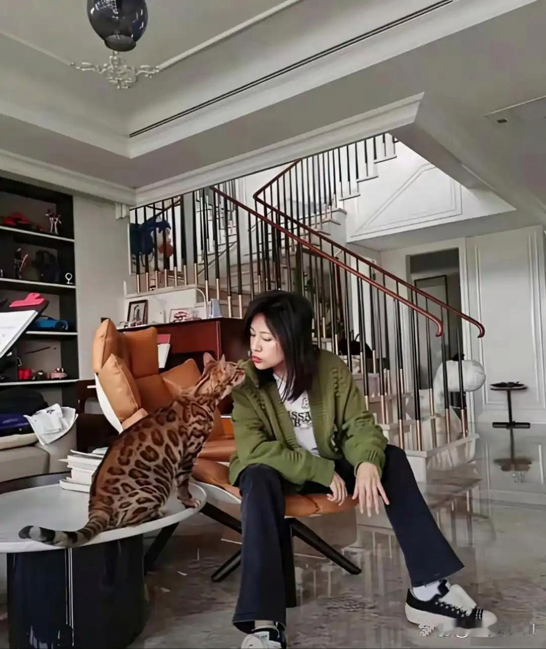 鲍蕾家那猫估计老贵了！