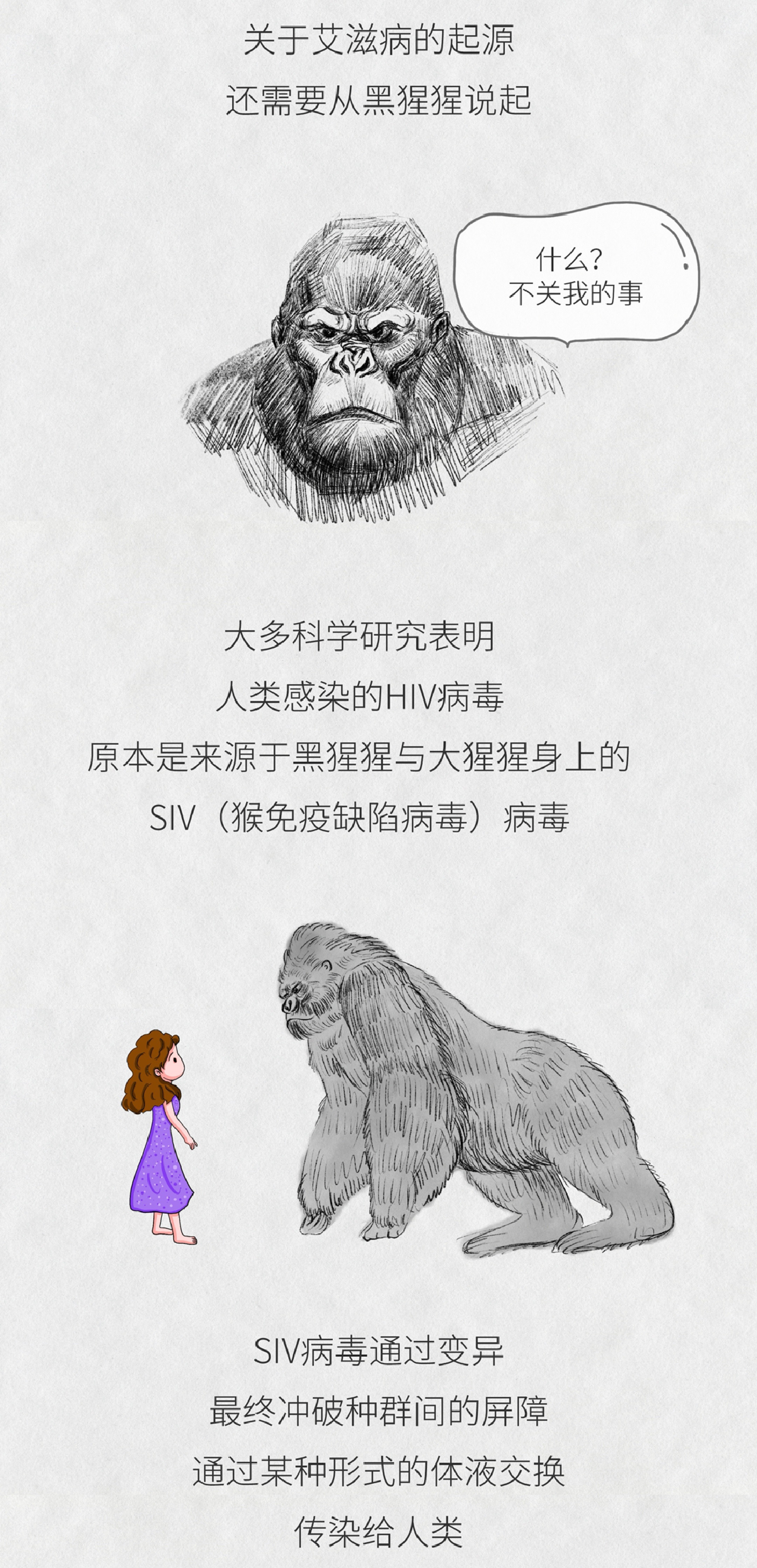 关于艾滋病病毒（HIV）从猩猩传给人类的方式，科学界有一些清晰的解释。猩猩身上的