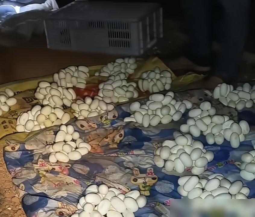 吓哭了！6月12日，江西一小伙整整半年没有回过家，最近，他返回自己久无人居的住处