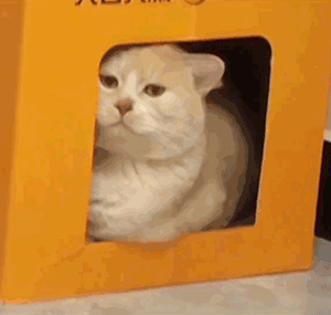 拿铁真好喝[墨镜]​​​