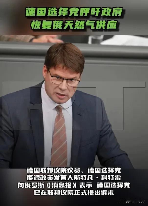 德国选择党议员呼吁恢复进口俄罗斯天然气。2月12日，俄罗斯《消息报》报道称，