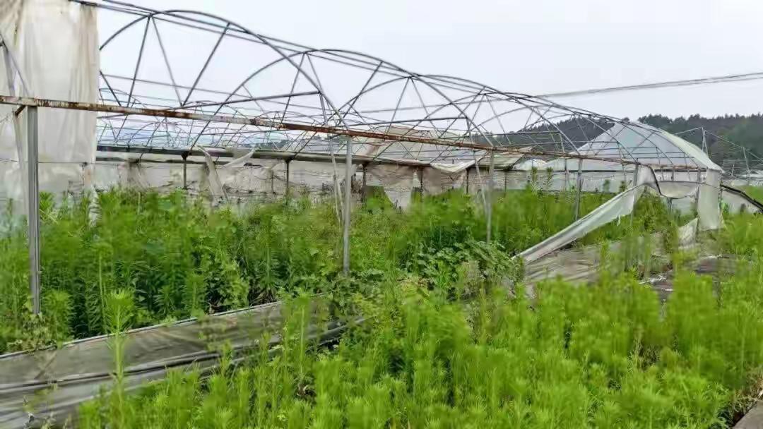 央视曝光多起农业项目骗补乱象，就内蒙古这个最离谱！注册仅仅9天，只有550万
