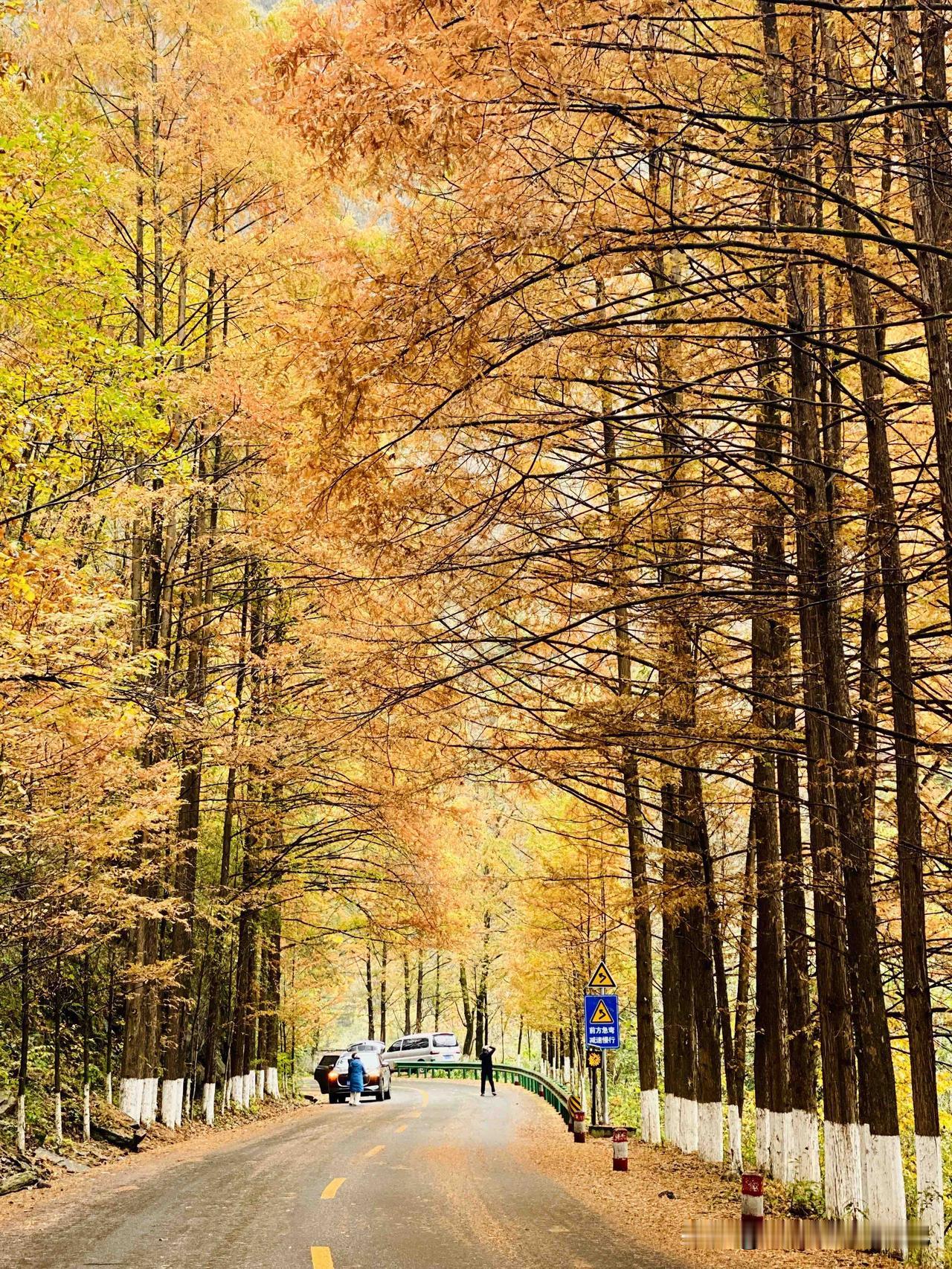 短短30余公里的这条路，我自驾走了2个半天，途中在两河口村露营了一晚。这条路