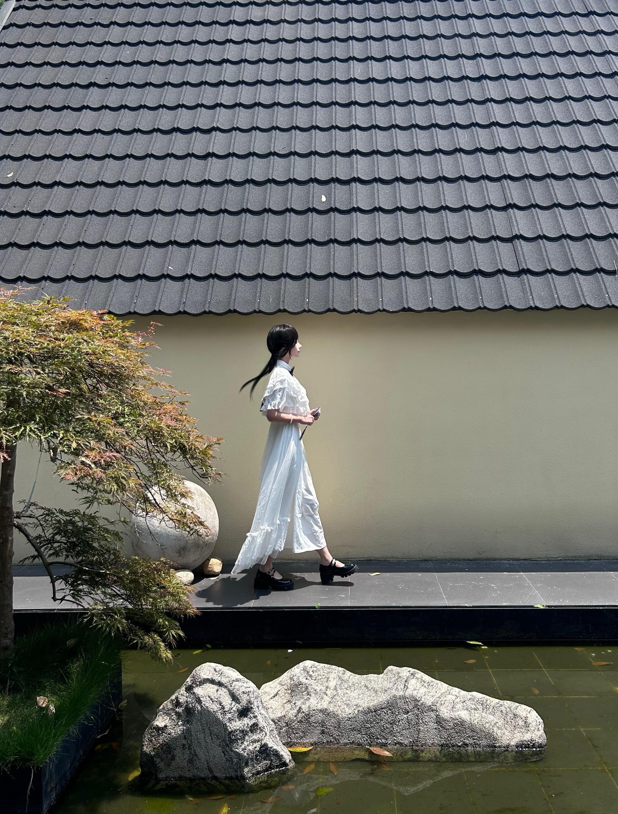树欲静而风不止