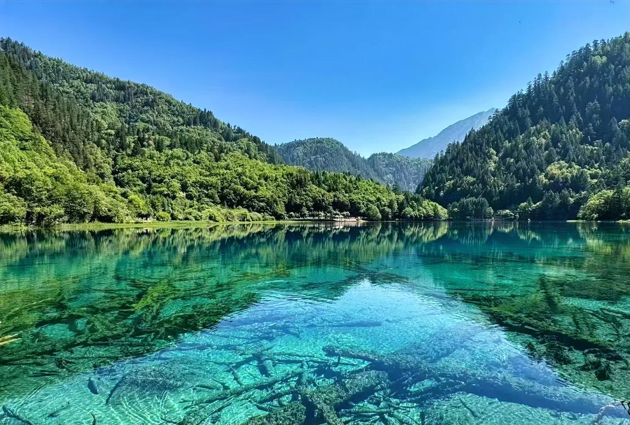 不知道大家发现没有？今年的夏天很热，出了空调屋，动步就会汗流不止。旅游本是为了