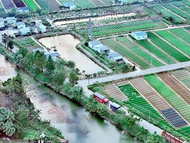 为什么英国，荷兰等国地狭人稠，却不关心粮食安全，也没有耕地红线，还把大量土地种植